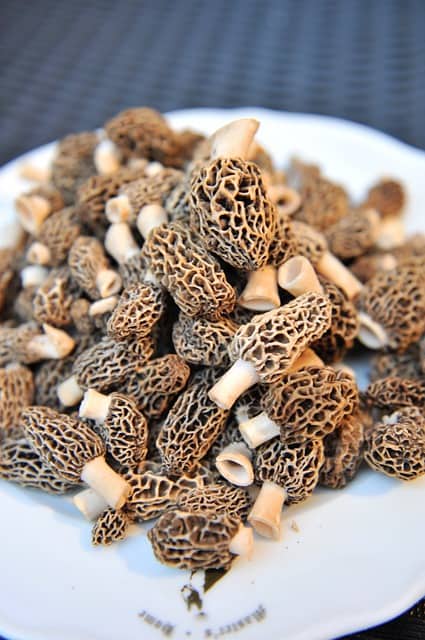 how much are morel mushrooms