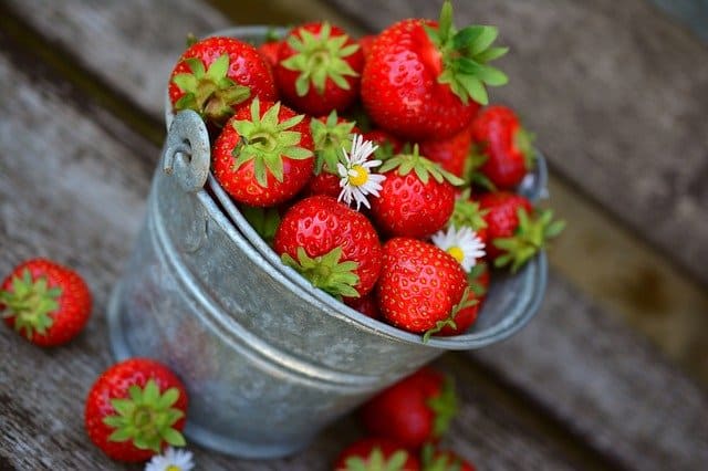 grow strawberries indoors