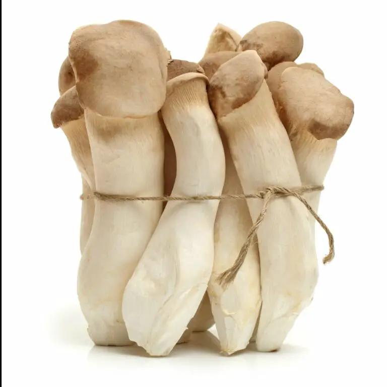 Can You Eat the Stems of Oyster Mushrooms? (Solved & Explained!) [2024]