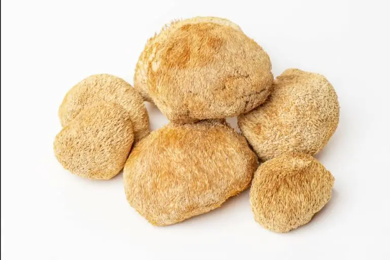 Why is my Lion's Mane Mushroom Turning Brown? (Solved & Explained