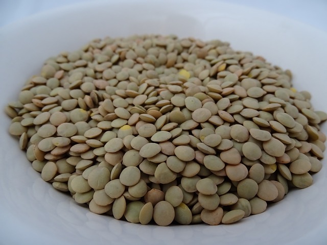 Can You Plant Lentils from the Grocery Store?