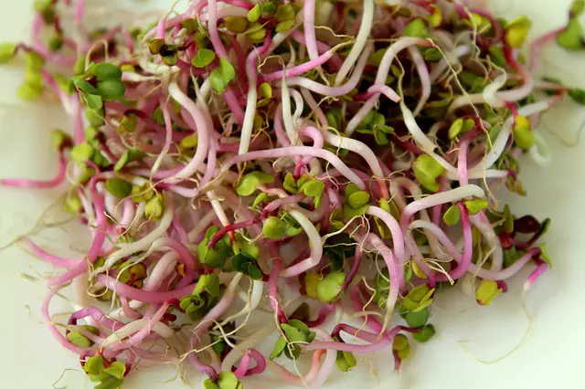Why Are Sprouts Bad for You?