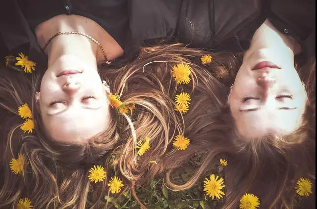 twins lying on dandelions