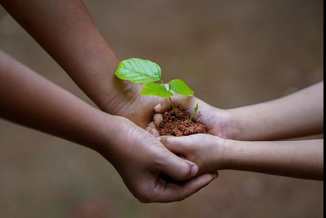 adult and child holding a plant with love