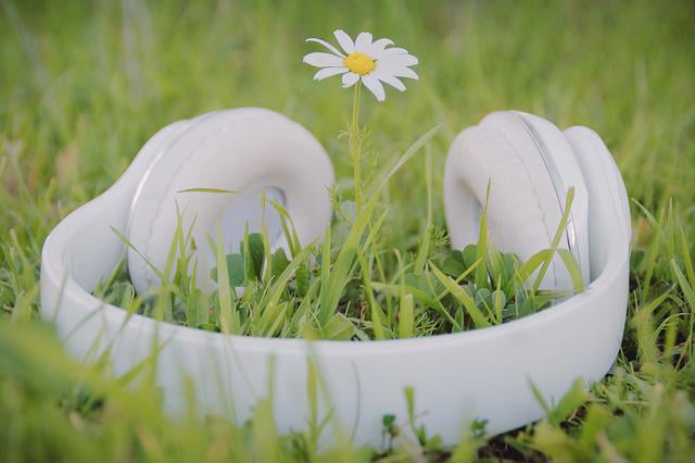 white flower rising from grass inside headphones